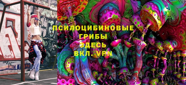 мдма Гусев