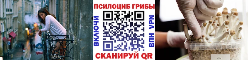 kraken сайт  Дзержинск  Галлюциногенные грибы прущие грибы 